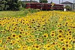/stat.ameba.jp/user_images/20250707/21/iiwakunsl/04/11/j/o0620041315630521285.jpg