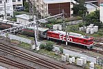 IMG_2203