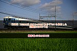 【近鉄】15200系 PN10+PN07あおぞらII を使用した団臨(20240712)