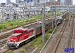_20250711_091903-9270-DD20023のコピー