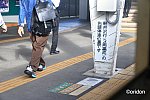 白い115系で一路高原を目指す