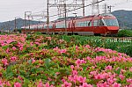6_20250715190259ab6.jpg