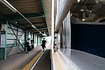 IMG_0445
