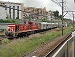 CIMG7054d.jpg