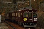 B56A8181.jpg