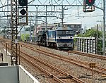 CIMG7290e.jpg