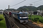 250810_EF210_001.jpg