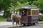 DSC_5863.jpg