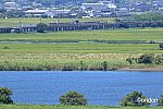 E131系、利根川橋梁に挑む
