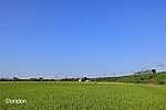 E131系、快晴の空のもと利根川橋梁を駆け降りる