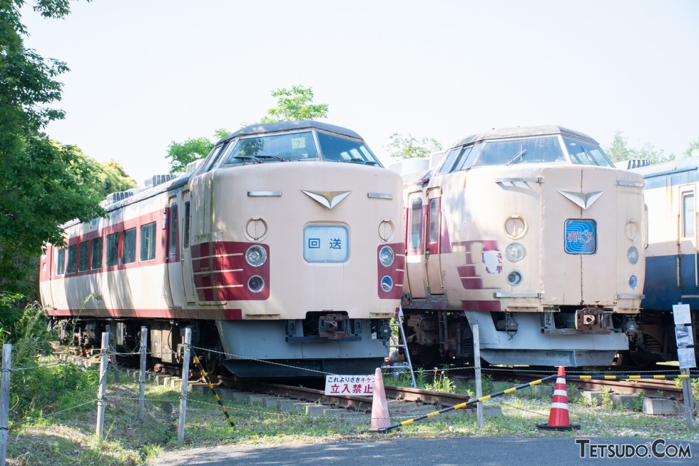 「ポッポの丘」（千葉県いすみ市）に保存される183系たち。このような保存車両では、国鉄特急色は今なお全国各地で見ることができます