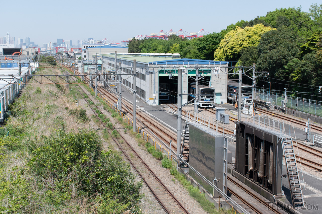 左側の草に埋もれた線路が、東京貨物ターミナル駅の下り本線です。右側は東京臨海高速鉄道の八潮車両基地