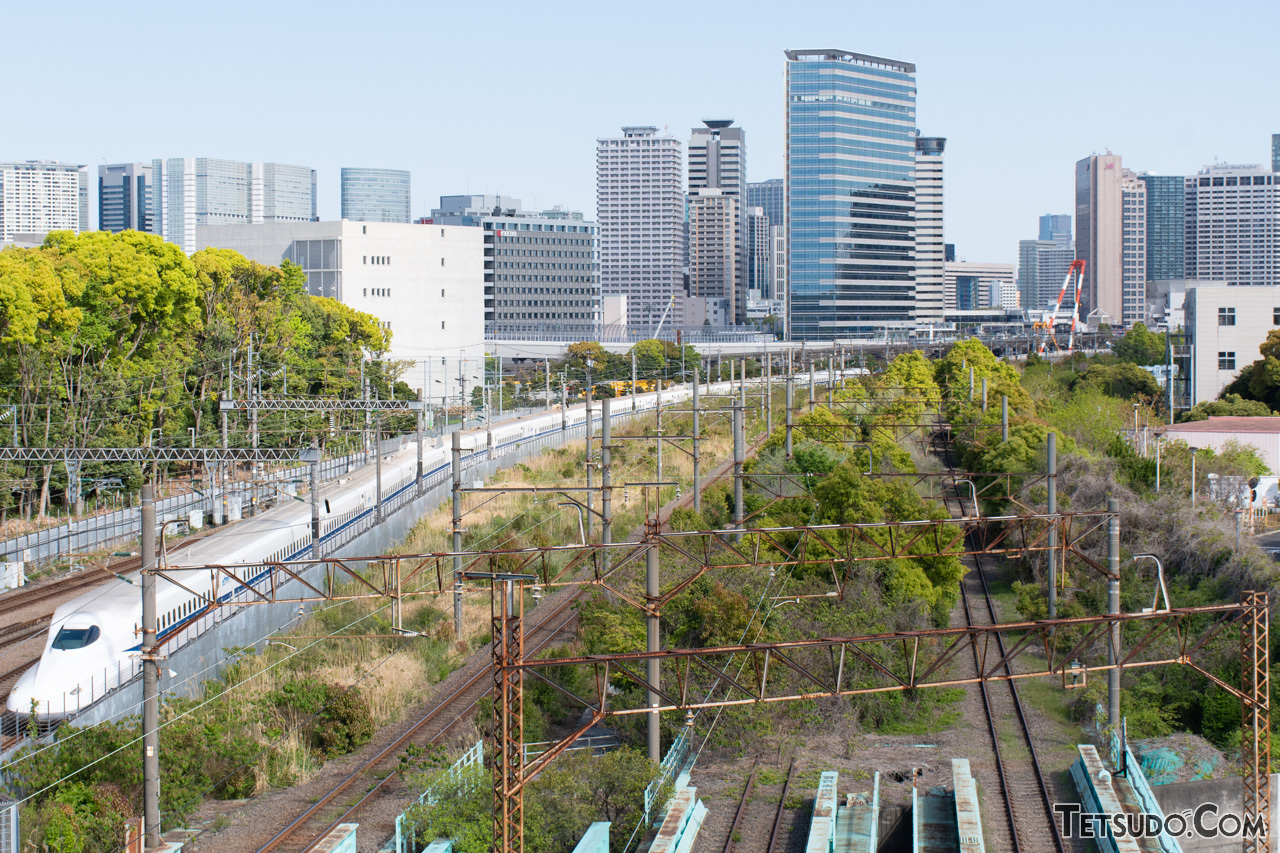 2021年に同地点から撮影した写真。現在よりも木が多く生え、線路も覆われているのがわかります