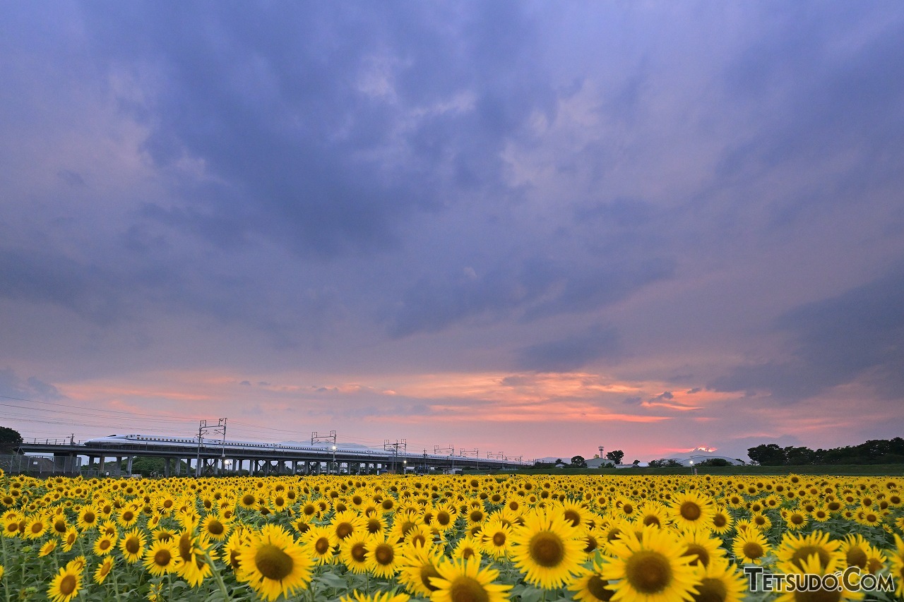 作品の仕上がりを変える！ 鉄道写真でも大活躍する「写真撮影用
