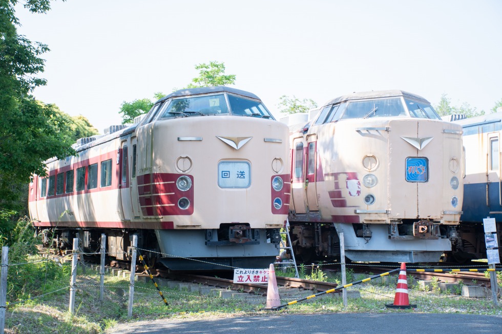 「ポッポの丘」(千葉県いすみ市)に保存される183系たち。このような保存車両では、国鉄特急色は今なお全国各地で見ることができます。