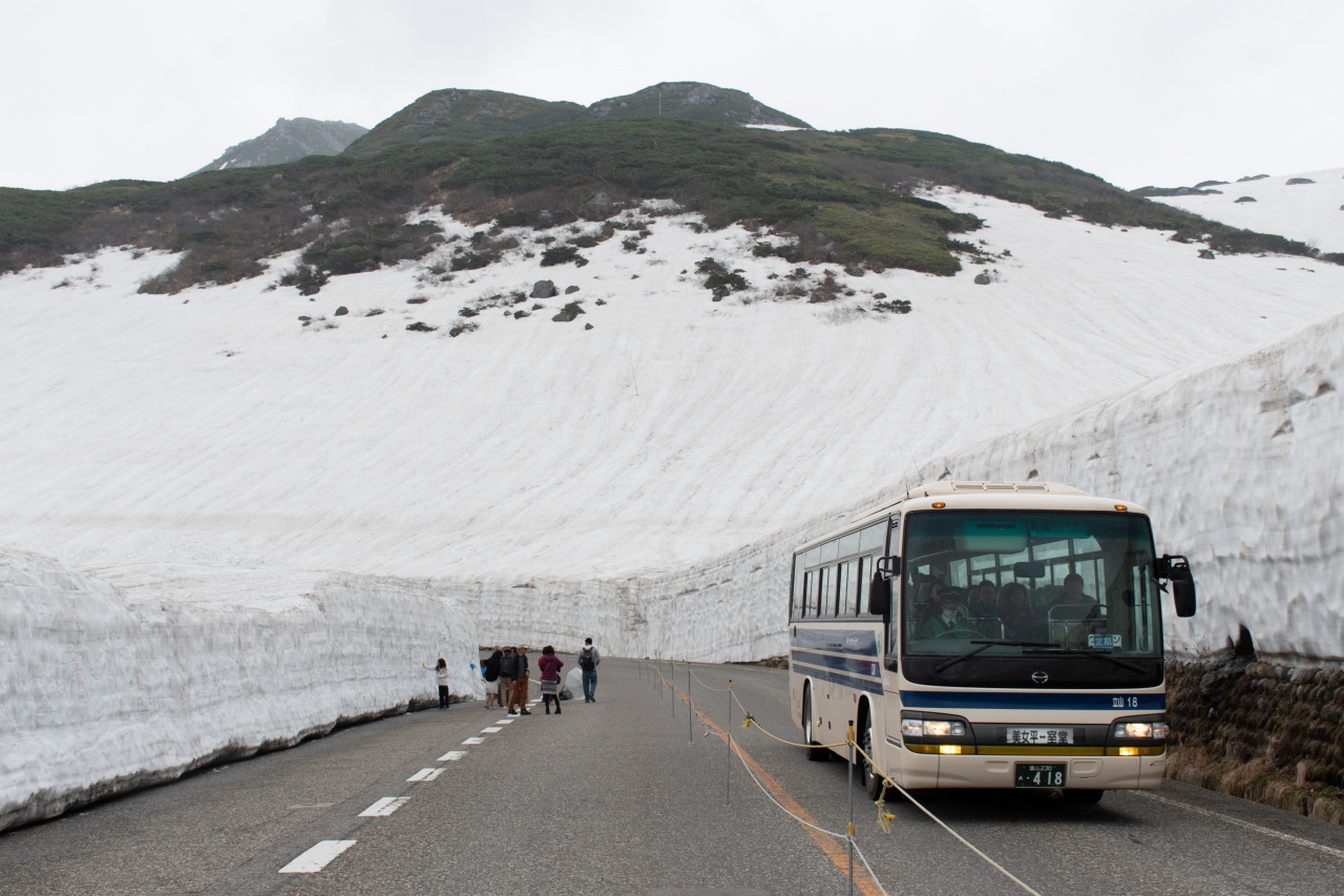 室堂～美女平間を結ぶ立山高原バス。室堂付近では、雪の切り通し「雪の大谷」を通るイベントが4月～6月に開催されます