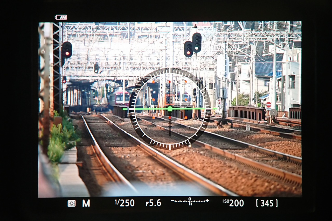 Z7のファインダー。水準器を表示しています