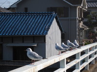 かなた。さんの投稿した写真