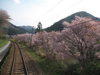 かなた。さんの投稿した写真