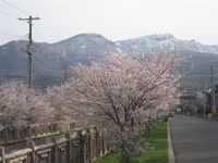 清水織部さんの投稿した写真