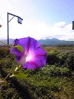 清水織部さんの投稿した写真