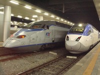 ビートル＆ＫＴＸ(ひかる)さんの投稿した写真