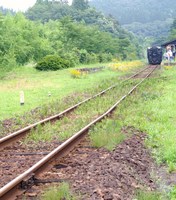 戸隠さんの投稿した写真