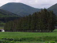 清水織部さんの投稿した写真