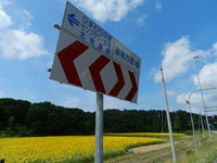 清水織部さんの投稿した写真