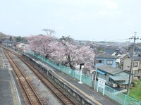 戸隠さんの投稿した写真