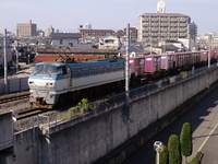 大阪府民さんの投稿した写真