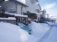 とき３００号さんの投稿した写真