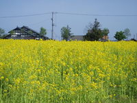 とき３００号さんの投稿した写真