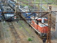 中原電車区さんの投稿した写真