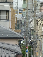 中原電車区さんの投稿した写真