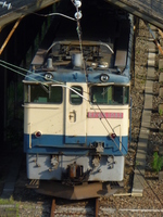 中原電車区さんの投稿した写真