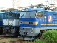 中原電車区さんの投稿した写真