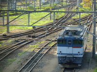 中原電車区さんの投稿した写真