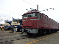 中原電車区さんの投稿した写真