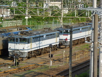 中原電車区さんの投稿した写真