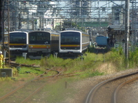 中原電車区さんの投稿した写真