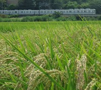 戸隠さんの投稿した写真