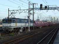 中原電車区さんの投稿した写真