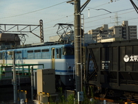 中原電車区さんの投稿した写真