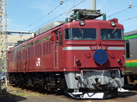 中原電車区さんの投稿した写真