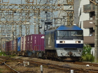 中原電車区さんの投稿した写真