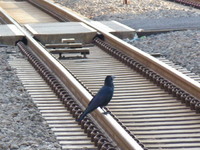 新東武鉄道さんの投稿した写真