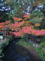 かなた。さんの投稿した写真