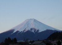 パノパナさんの投稿した写真