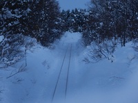 清水織部さんの投稿した写真